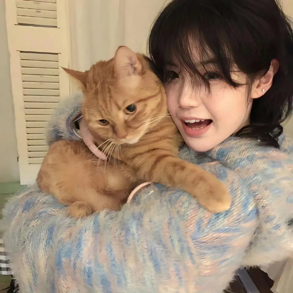 功夫熊猫2